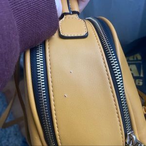 more pics for @robindalsing